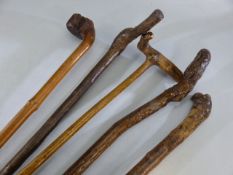 Five rustic walking sticks