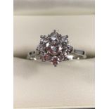 18ct White Gold approx: 1carat Diamond Daisy Cluster Ring, set with an approx: 0.25ct Brilliant