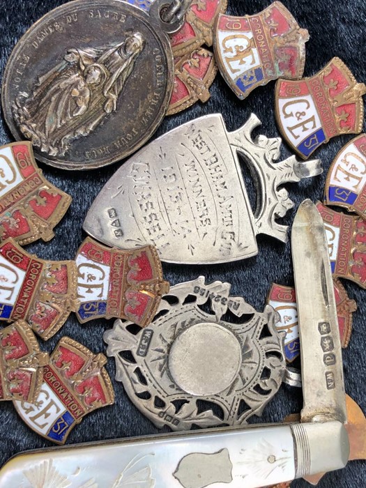Quantity of Military Cap Badges,Pins, Medals, pendants and a Fruit knife - Image 6 of 7