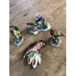 Three Bird figurines by Adderley and one other wall hanging bird , Parrot Finch, Double Budgerigar
