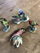 Three Bird figurines by Adderley and one other wall hanging bird , Parrot Finch, Double Budgerigar