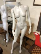 Female Manikin approx 170cm tall on glass base