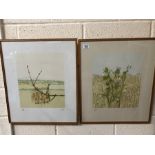 Pair of framed limited edition prints of plants, pencil-signed 'Hunt' and a further framed picture