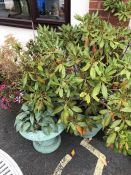 Two large pots and one urn with plants