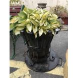 Metalwork planter with variegated leaf plant included