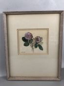 DOROTHY HUTTON - still life of Peonies, approx 19cm x 16cm (inside mount), signed lower left