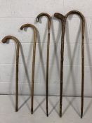 Five walking canes, one with silver handle tip and collar