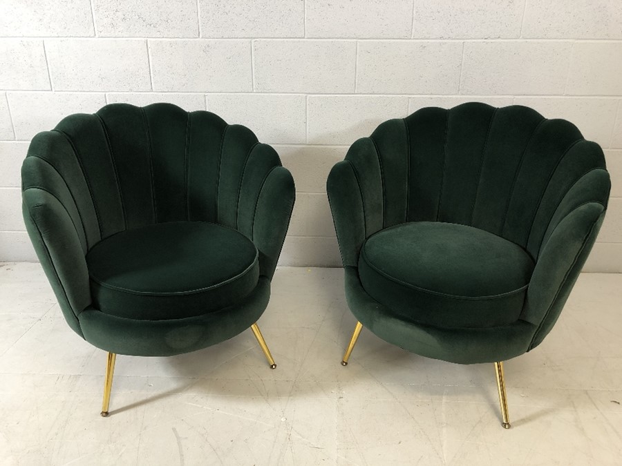 Pair of modern Art-Deco style green velvet scalloped back chairs with brass coloured legs, approx