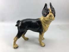 Cast iron figure of a Boston Terrier approx 25cm in height