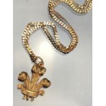 9ct Gold chain and gold coloured prince of wales feathers pendant (loop marked 375, approx 5.4g)