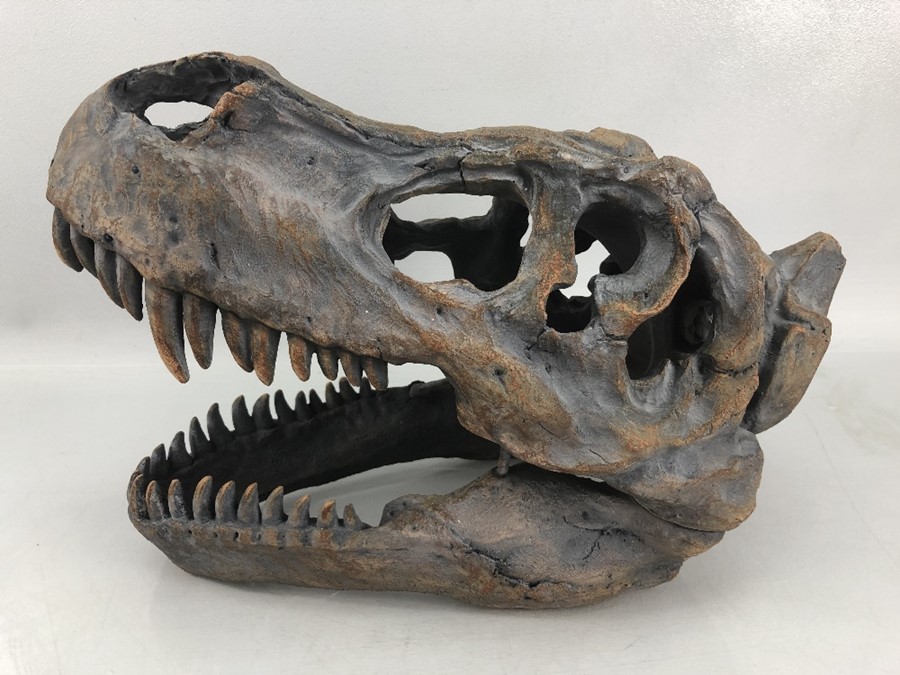 Modern ornamental T-Rex dinosaur skull with fixings for wall hanging, approx 40cm in length - Image 2 of 6