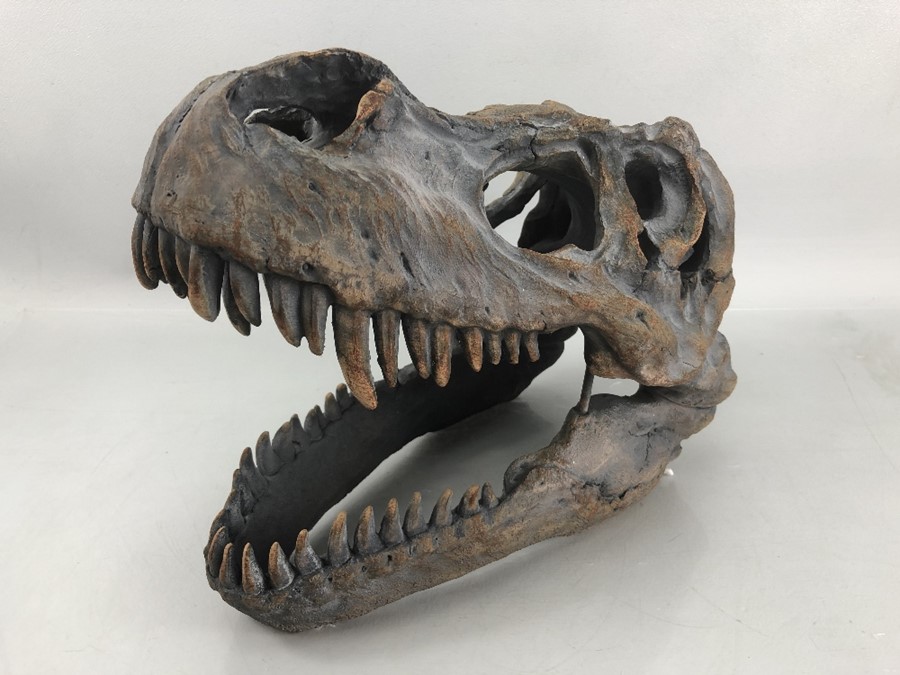 Modern ornamental T-Rex dinosaur skull with fixings for wall hanging, approx 40cm in length