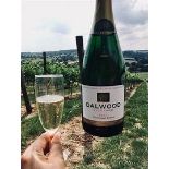 POJECT FOOD CHARITY lot: DALWOOD VINEYARD TOUR (Kindly donated by Dalwood Vineyard.) The very