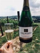 POJECT FOOD CHARITY lot: DALWOOD VINEYARD TOUR (Kindly donated by Dalwood Vineyard.) The very