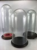 Collection of three Victorian glass domes, the largest approx 64cm tall, one with unmatched base