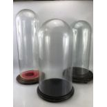 Collection of three Victorian glass domes, the largest approx 64cm tall, one with unmatched base