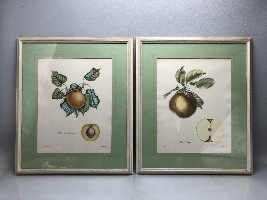 Pair of framed botanical prints 'Albicoca di Germania' and 'Mela Panaja', approx 50cm x 43cm (inclu.