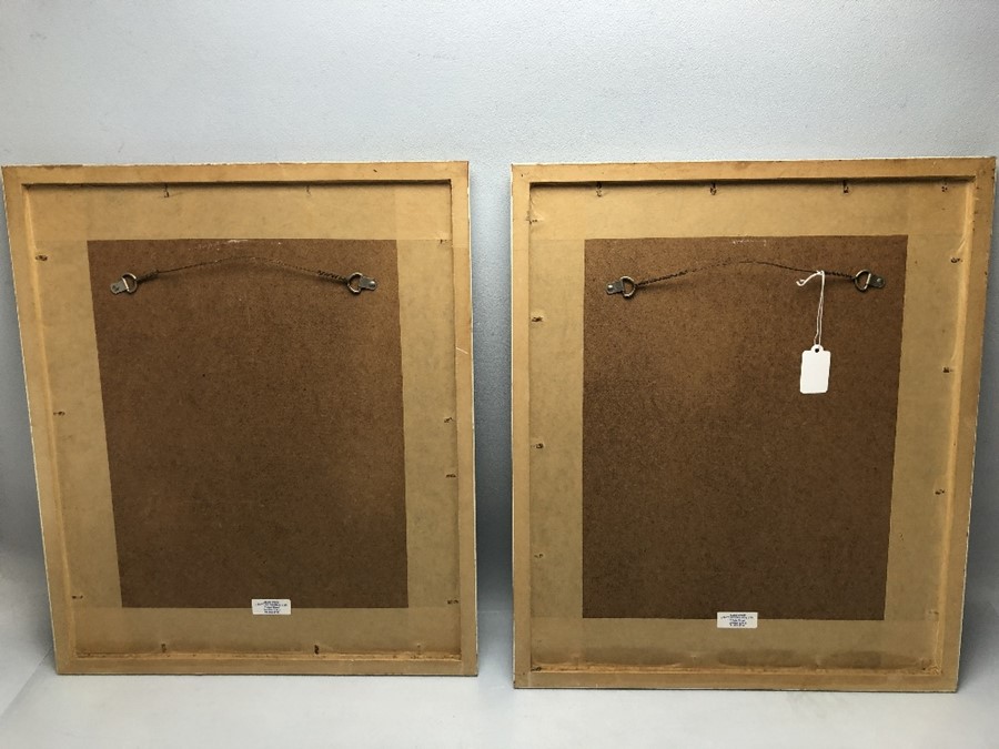 Pair of framed botanical prints 'Albicoca di Germania' and 'Mela Panaja', approx 50cm x 43cm (inclu. - Image 8 of 8