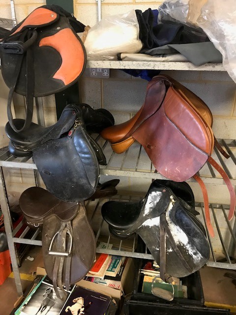 Equestrian/ Horse Interest: The complete contents of a Horse tack room to include: Five various - Image 13 of 13