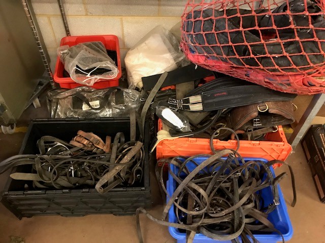 Equestrian/ Horse Interest: The complete contents of a Horse tack room to include: Five various - Image 9 of 13