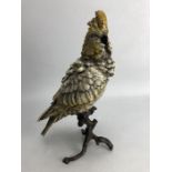 Cold painted bronze of a cockatoo, approx 30 cm in height