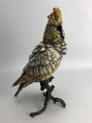 Cold painted bronze of a cockatoo, approx 30 cm in height