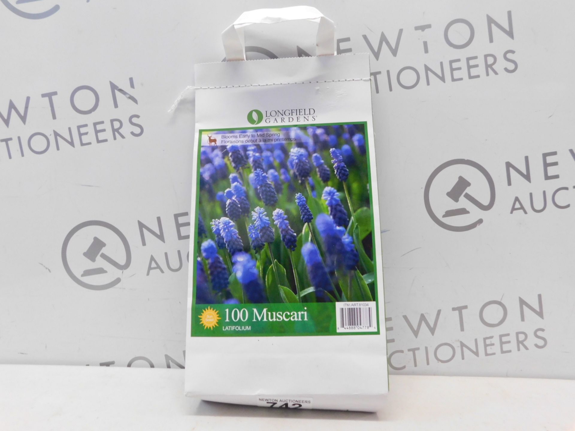 1 PACK OF LONGFIELD GARDENS 100 MUSCARI RRP Â£24.99