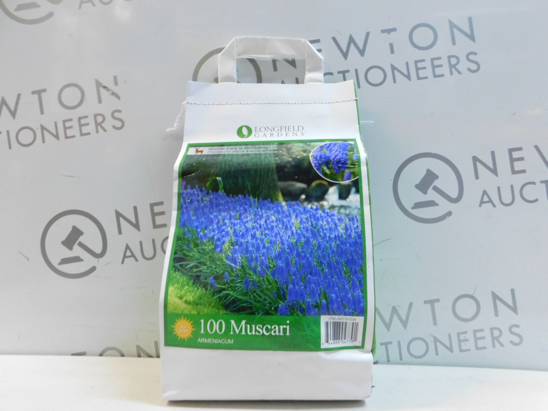 1 PACK OF LONGFIELD GARDENS 100 MUSCARI RRP Â£22.99