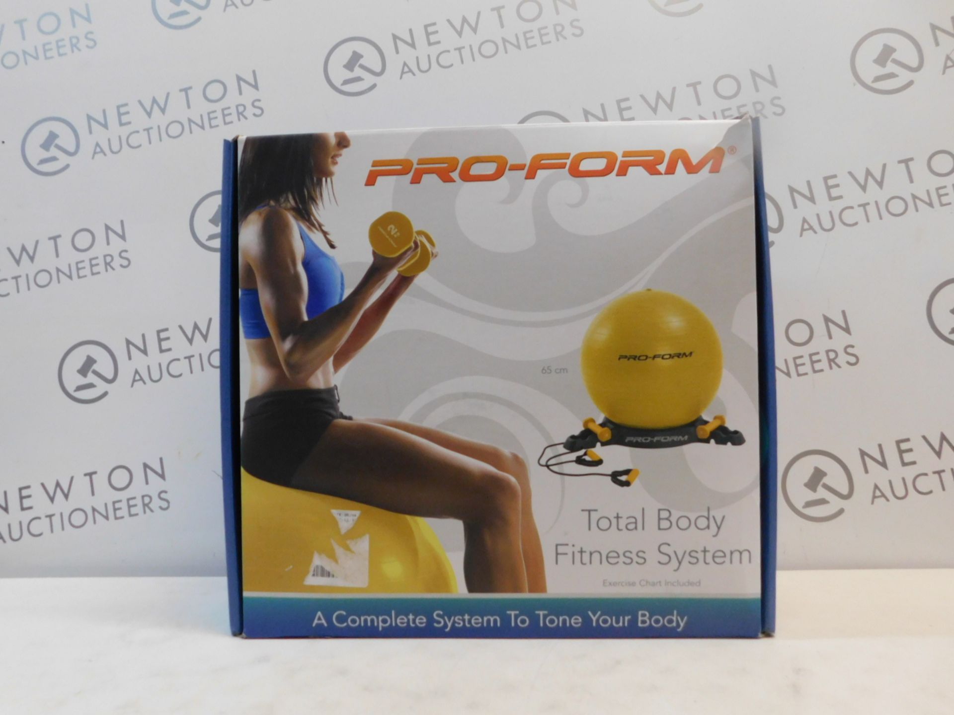 1 BOXED PRO-FORM TOTAL BODY FITNESS SYSTEM RRP Â£39