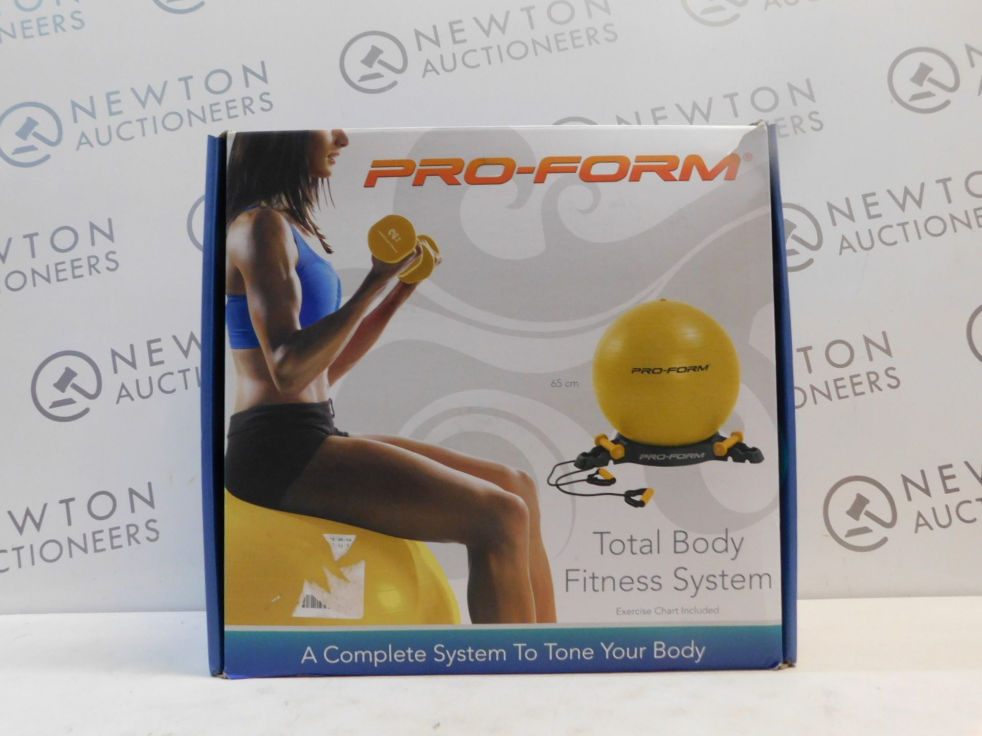 1 BOXED PRO-FORM TOTAL BODY FITNESS SYSTEM RRP Â£39