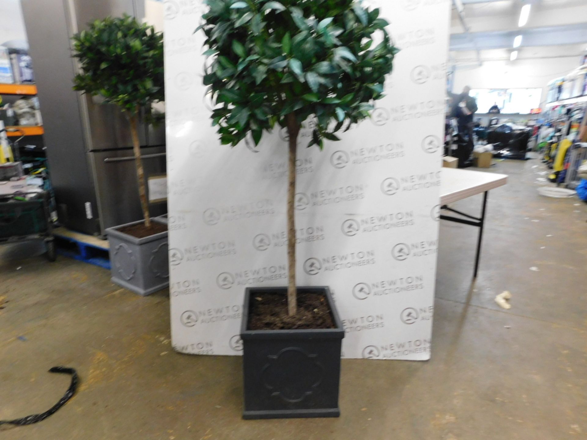 1 TREE LOCATE TALL BAYLEAF ARTIFICIAL PLANT IN STONE PLANTER RRP Â£149.99
