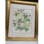 Signed gilt framed floral watercolour