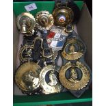 An interesting small box of Royal Family brasses each on leathers incl.