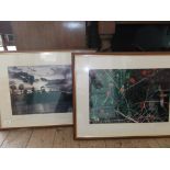 Pair of framed riverside and bird prints
