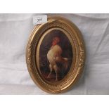 Oval print of a crowing Cockerel in decorative gilt frame