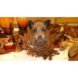 Another male Wild Boar on superb carved mount with oak leaf surround