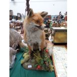 A Fox on rectangular plinth