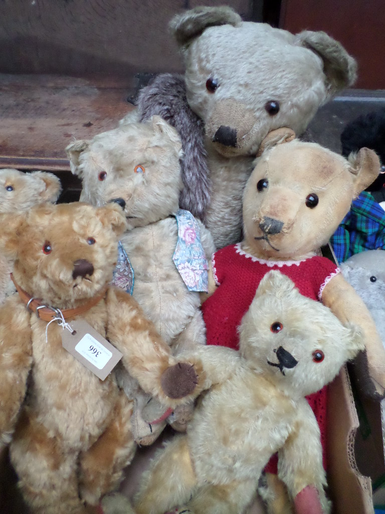 5 vintage teddy bears,