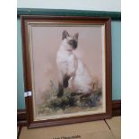 Modern framed copy oil 'Choci' of a Siamese cat