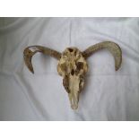 Skeleton mask Horned Ram