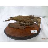 Green woodpecker (in poor condition) with oak oval plaque