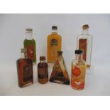 Seven assorted glass bottles including Excelene Cycle Lubricating Oil, Shell-A-Cyl, Tecalemit for