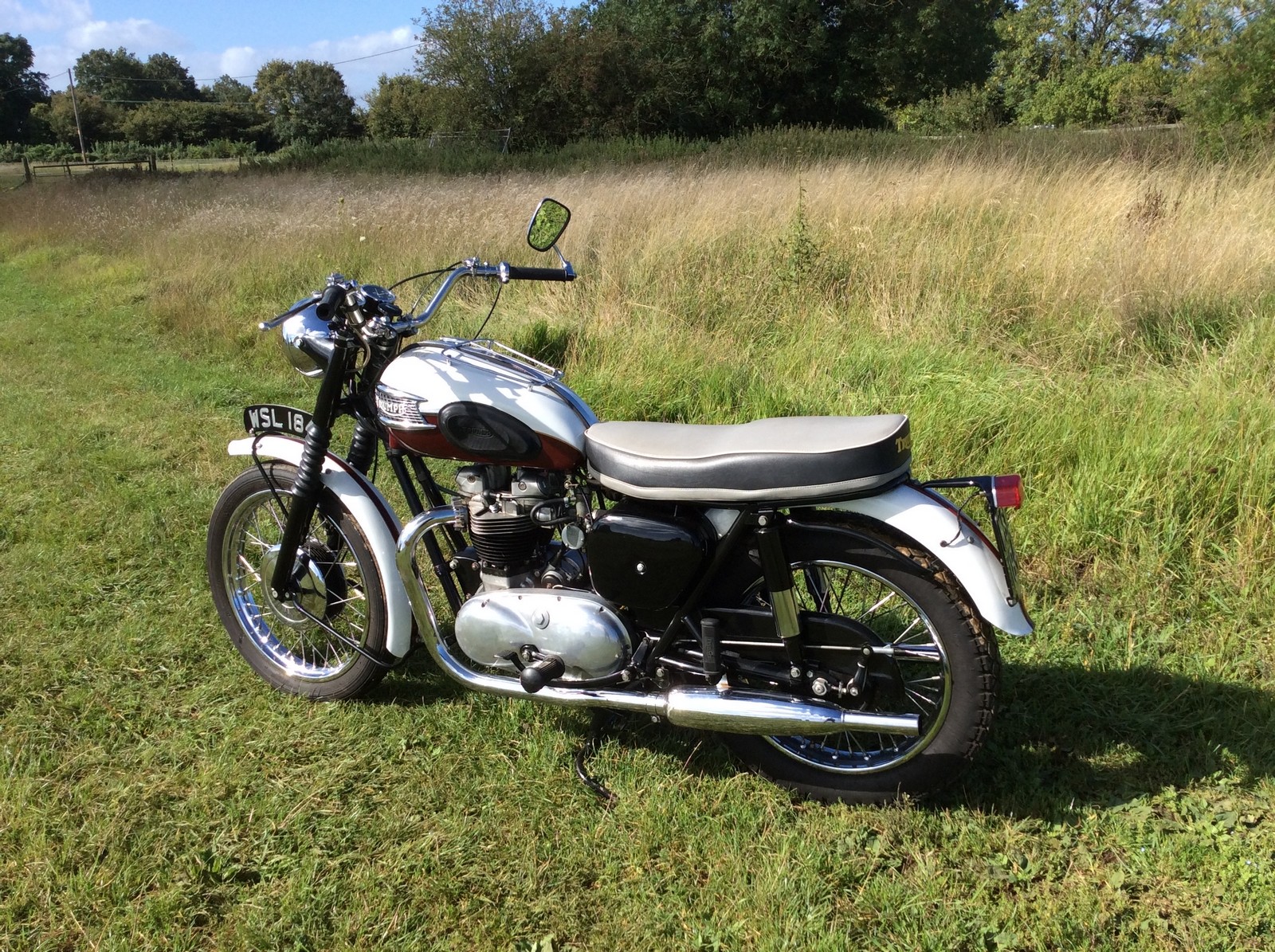 1959 Triumph TR6 - Image 5 of 8