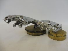 Two different sized Jaguar 'leaper' car mascots, both radiator cap mounted.