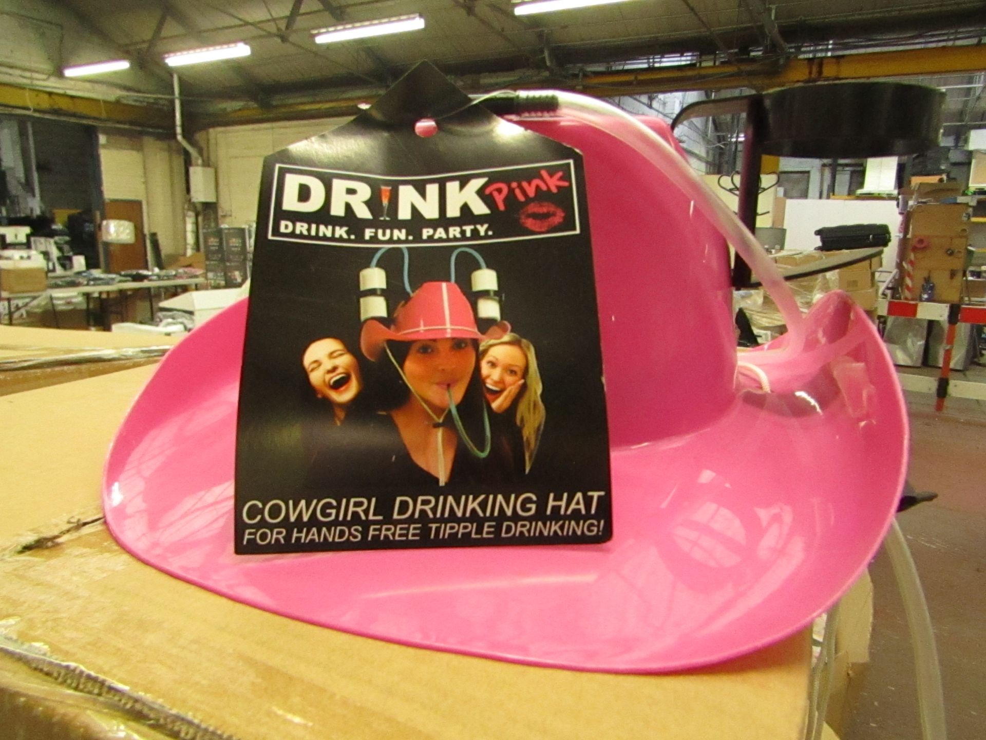12 x Pink Party Hats with Drinks Holders & Straws. Ideal For Parties/Hen parties. New & Boxed