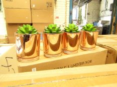 Box of 4x small plant decorations, new and boxed.