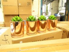 Box of 4x small plant decorations, new and boxed.