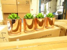 Box of 4x small plant decorations, new and boxed.