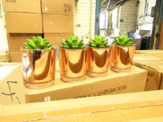 Box of 4x small plant decorations, new and boxed.