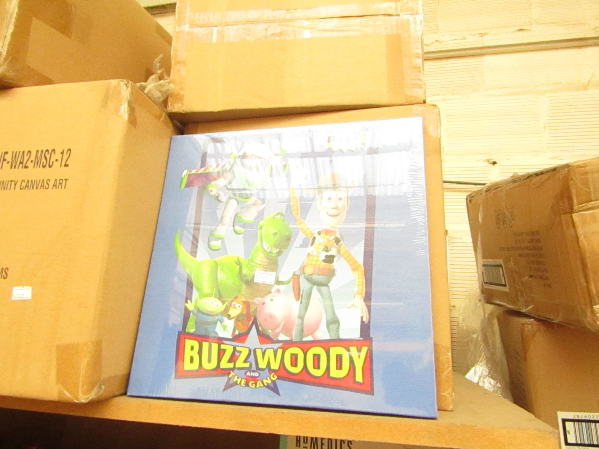 12x Toy Story - Infinity Canvas's - All Packaged & Boxed.